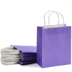 Paper Party Gift Bags with Handles (8 x 10 in, Medium Size, Purple, 25-Pack)