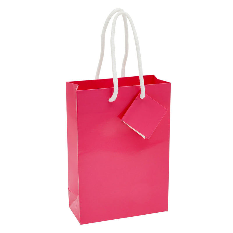 20-Pack Small Paper Gift Bags with Handles, 5.5x2.5x7.9-Inch Goodie Bags with 20 Sheets White Tissue Paper and 20 Hang Tags for Small Business (Hot Pink)