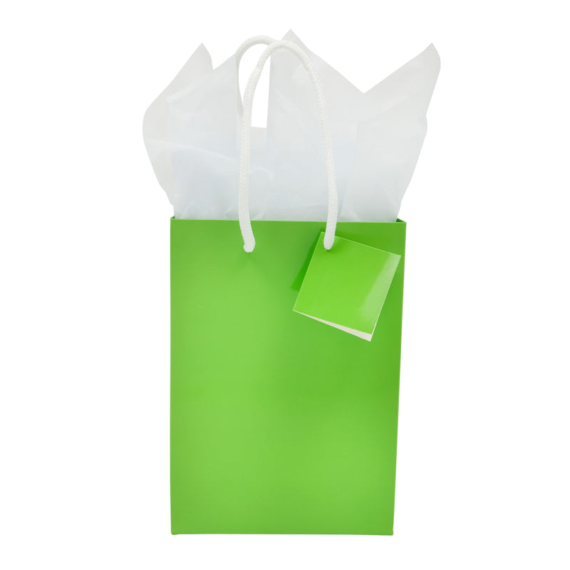 20-Pack Small Paper Gift Bags with Handles, 5.5x2.5x7.9-Inch Goodie Bags with 20 Sheets White Tissue Paper and 20 Hang Tags for Small Business (Green)