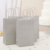 25-Pack Gray Gift Bags with Handles, 5.5x3.2x9-Inch Paper Goodie Bags for Party Favors and Treats, Birthday Party Supplies