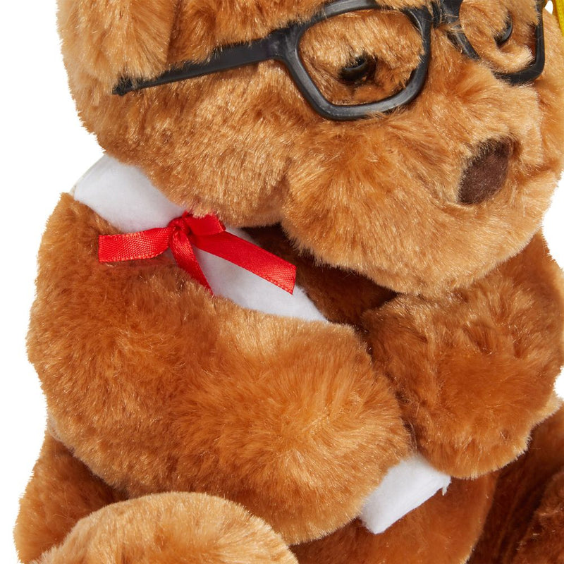 Graduation Gift Stuffed Animal, Louie The Teddy Bear Plush with Diploma