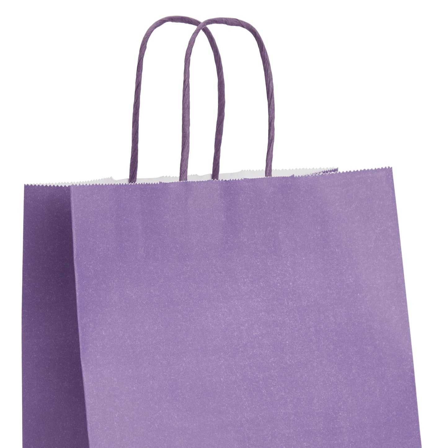 25-Pack Purple Gift Bags with Handles, 8x4x10-Inch Paper Goodie Bags for Party Favors and Treats, Birthday Party Supplies