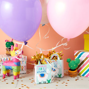 Llama Gift Bag Balloon Weights, Birthday Party Decorations (6 oz, 6 Pack)