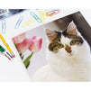 Kitty Pocket Folders for Girls, School Supplies (6 Designs, 12 Pack)