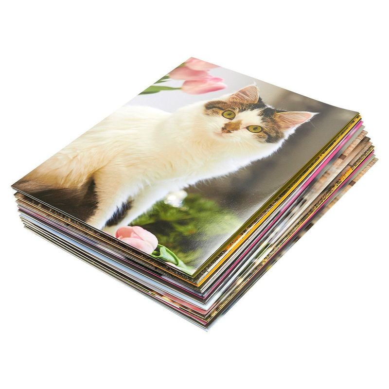 Kitty Pocket Folders for Girls, School Supplies (6 Designs, 12 Pack)