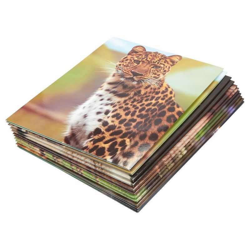 Wild Animal File Folders with Pockets, School Supplies (9.5 x 12 In, 12 Pack)