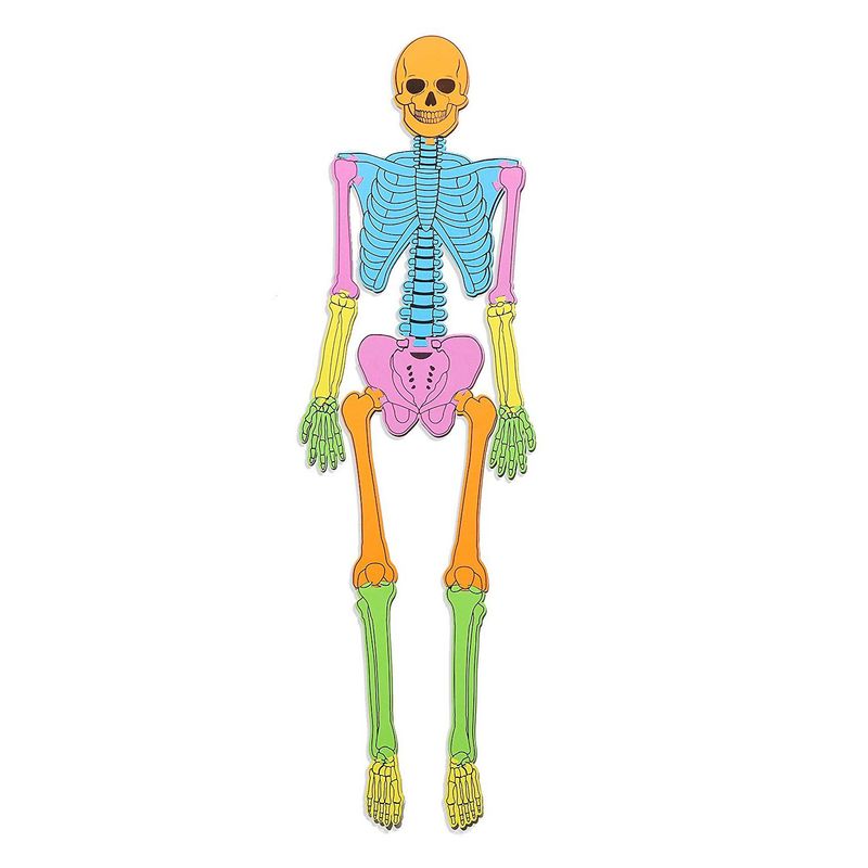 Blue Panda Foam Human Skeleton Puzzle Double Sided, 4 Foot Tall, 15 Pieces