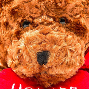 Valentine’s Teddy Bear with Red Heart for Children, Girlfriend, Boyfriend (10 in)