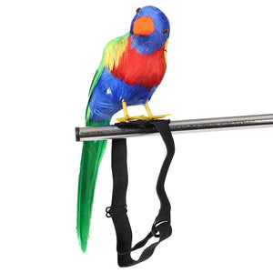 Parrot Prop Pirate Costume Accessory (2 Pack)