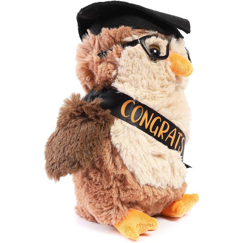 Owl Graduation Stuffed Animal with Glasses and Grad Cap for 2021 Graduates (9.2 In)