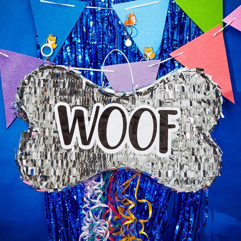 Dog Bone Pinata, Puppy Birthday Party Supplies, Woof (16.75 x 10 x 3 In)