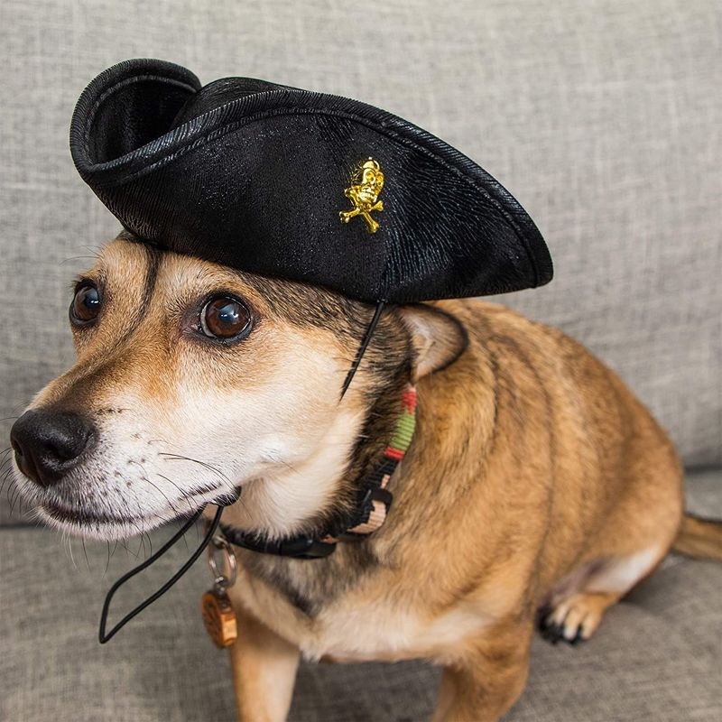 Mini Pirate Hat, Pet Costume Accessory, Adjustable Sizing (Black)