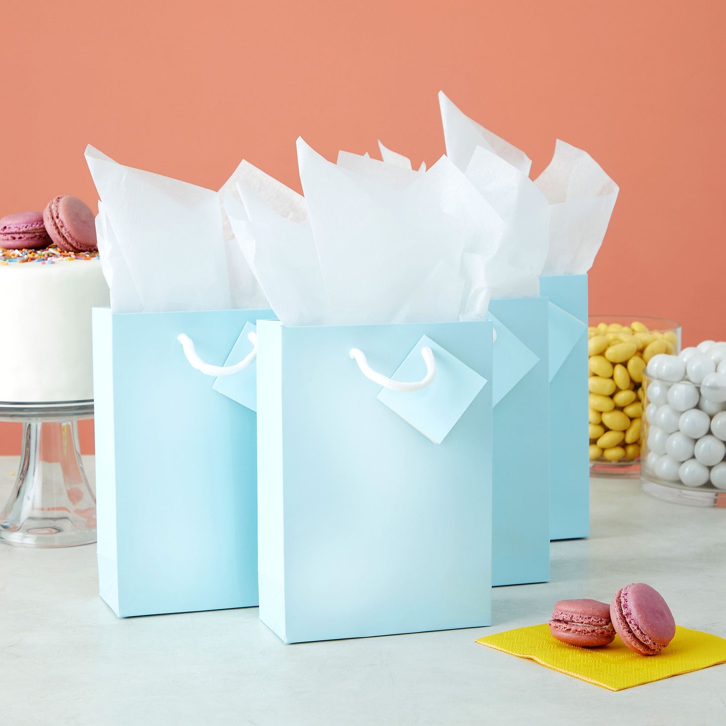 20-Pack Small Paper Gift Bags with Handles, 5.5x2.5x7.9-Inch Goodie Bags with 20 Sheets White Tissue Paper and 20 Hang Tags for Small Business (Light Blue)