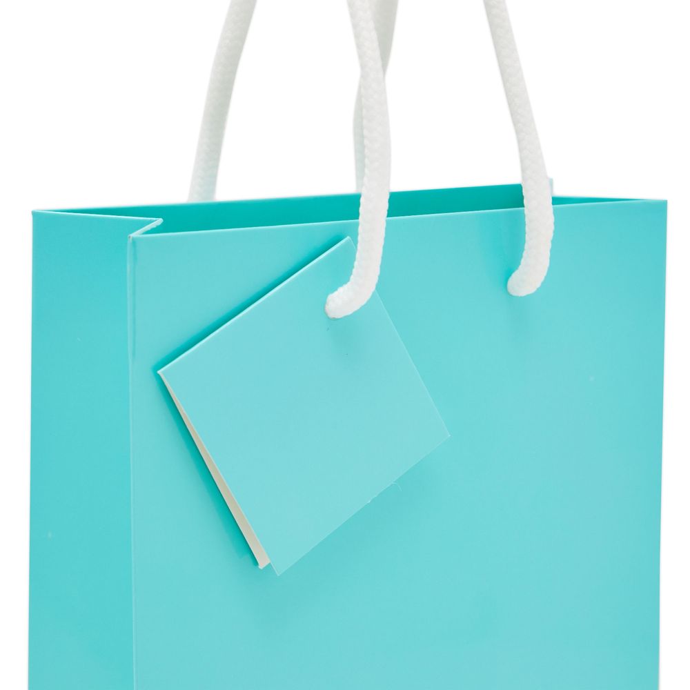 Small Teal Party Favor Gift Bags with Handles, Tissue Paper (5.5 x 7.9 In, 20 Pack)