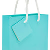 Small Teal Party Favor Gift Bags with Handles, Tissue Paper (5.5 x 7.9 In, 20 Pack)