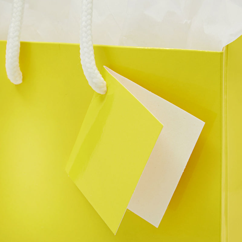 20-Pack Small Paper Gift Bags with Handles, 5.5x2.5x7.9-Inch Goodie Bags with 20 Sheets White Tissue Paper and 20 Hang Tags for Small Business (Yellow)
